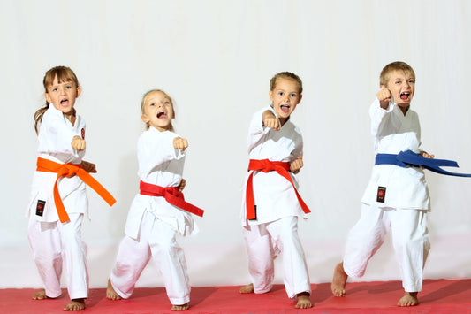 Why Kids Should Learn Karate