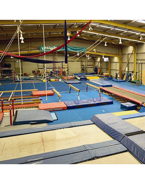 Gymnastics Program