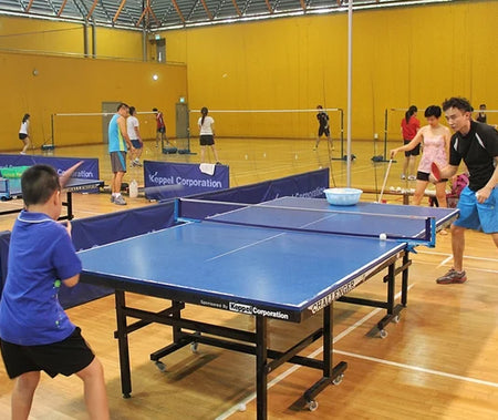 Table Tennis Program