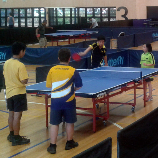 Table Tennis Program