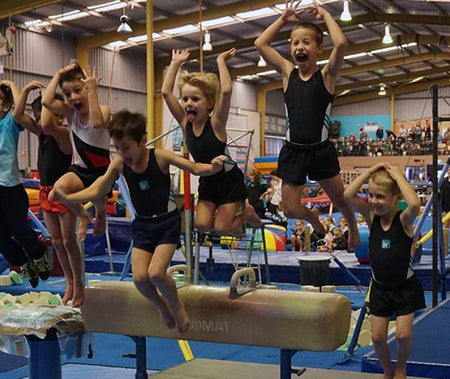 Gymnastics Program