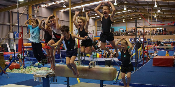Gymnastics Program