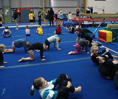 Gymnastics Program