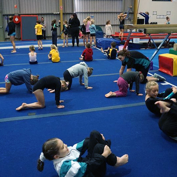 Gymnastics Program